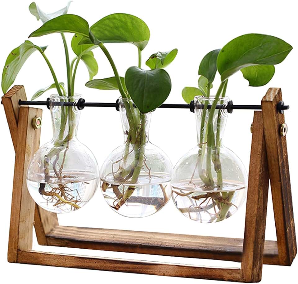 XXXFLOWER Plant Terrarium with Wooden Stand, Air Planter Bulb Glass Vase Metal Swivel Holder Retro Tabletop for Hydroponics Home Garden Office Decoration - 3 Bulb Vase Global Recycled Standard