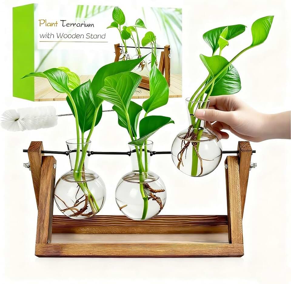 Renmxj Plant Propagation Station, Plant Terrarium with Wooden Stand | Unique Gardening Birthday Gifts for Women Plants Lovers, Home Office Garden Decor Planter - 3 Bulb Glass Vases Global Recycled Standard