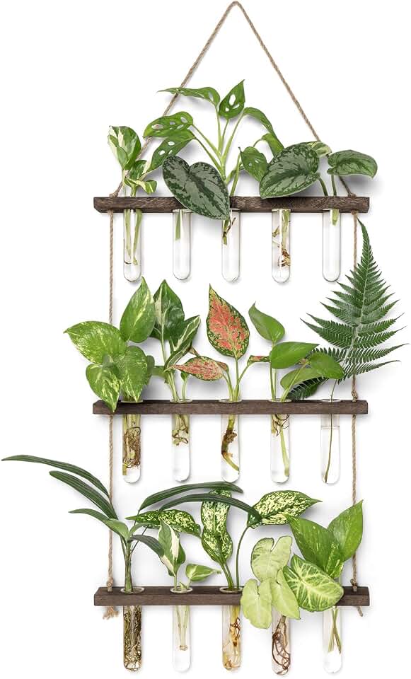 Mkono Plant Propagation Station, 3 Tier Brown Wall Hanging Vase Test Tubes | Glass Terrarium Planter,Wooden Stand,for Hydroponic Cuttings Flowers,Bathroom Living Room Office Decor,Plant Lovers Gift