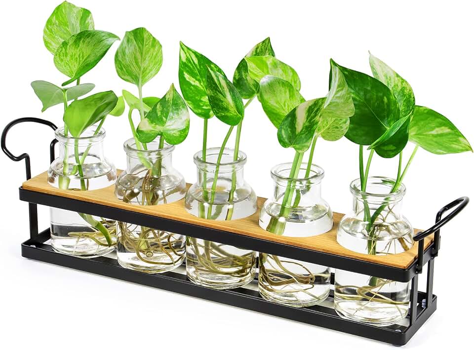 Plant Propagation Station with 5 Glass Jars, Retro Hydroponic Planter Vase | Propagation Jars with Metal Stand, Desktop Hydroponic Plant Holder for Cuttings, Home Office Decor and Plant Lover Gifts