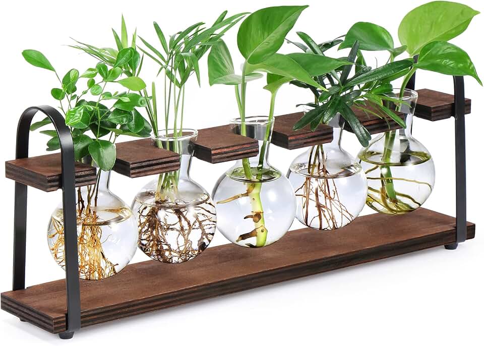 5-Bulb Plant Propagation Station, Glass Vase Terrarium, Wood Metal Stand | Desktop Retro Plant Decor, Bulb Glass Vases for Indoor Hydroponic Flowers, Tabletop Terrarium