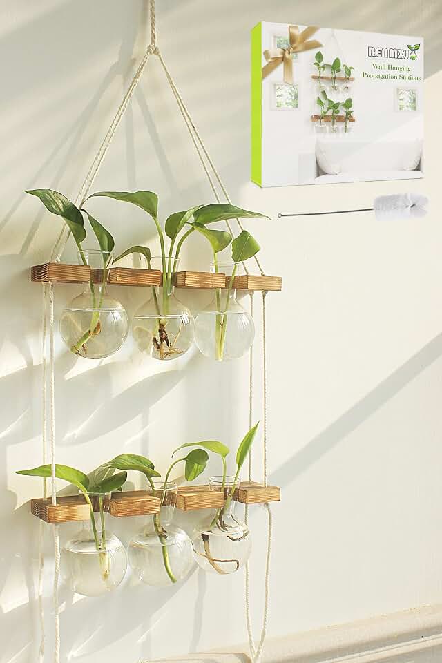 Renmxj Plant Propagation Station Wall Hanging with 2 Tiered Wooden Stand | Plant Terrarium for Hydroponics Plants, Unique Gardening Gifts for Women Mom Plants Lovers - 6 Bulb Glass Vases Global Recycled Standard