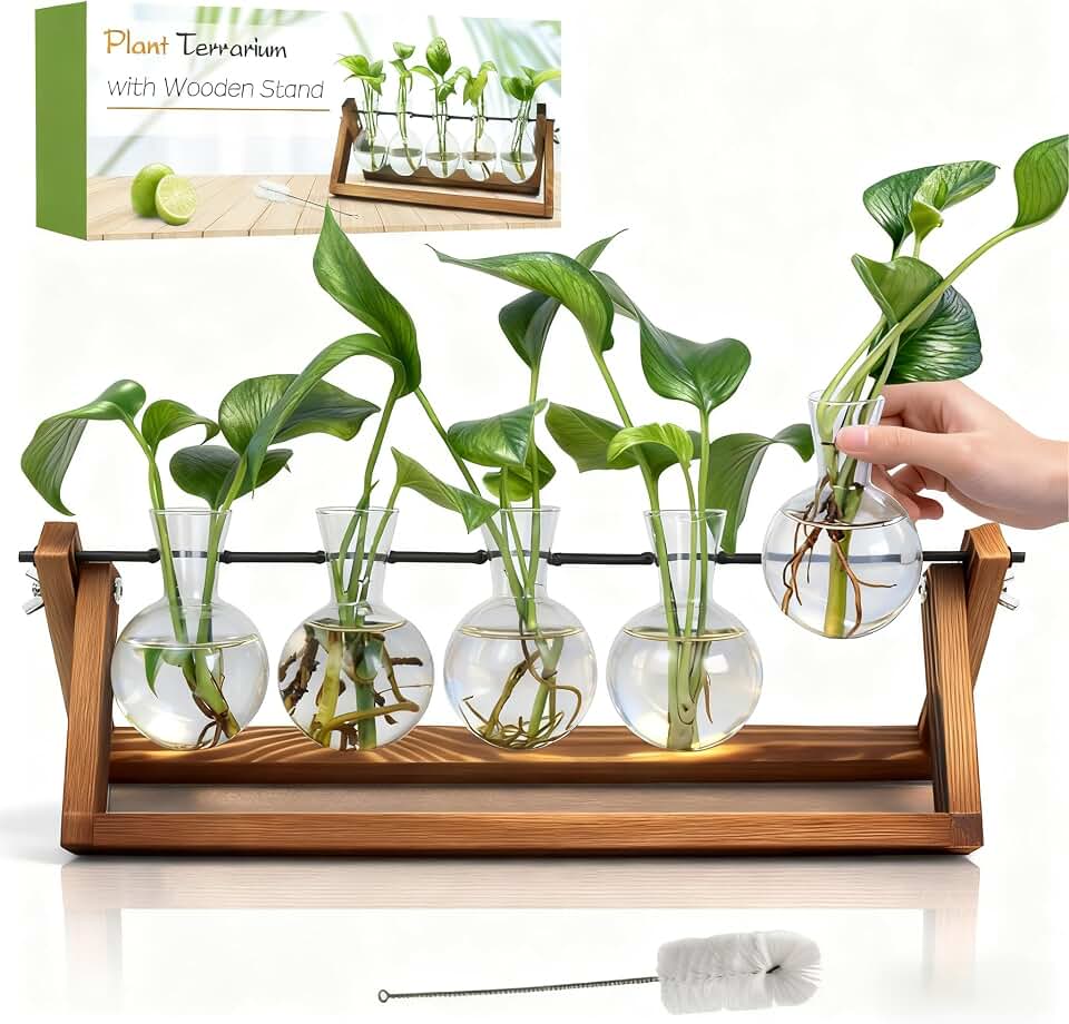 Renmxj Plant Propagation Stations with Wooden Stand &amp; 5 Glass Bulb Vases | Plant Terrarium for Indoor Plants, Home Office Desk Decor, Gardening Gifts for Women Mom, Birthday Gifts for Plants Lovers Global Recycled Standard