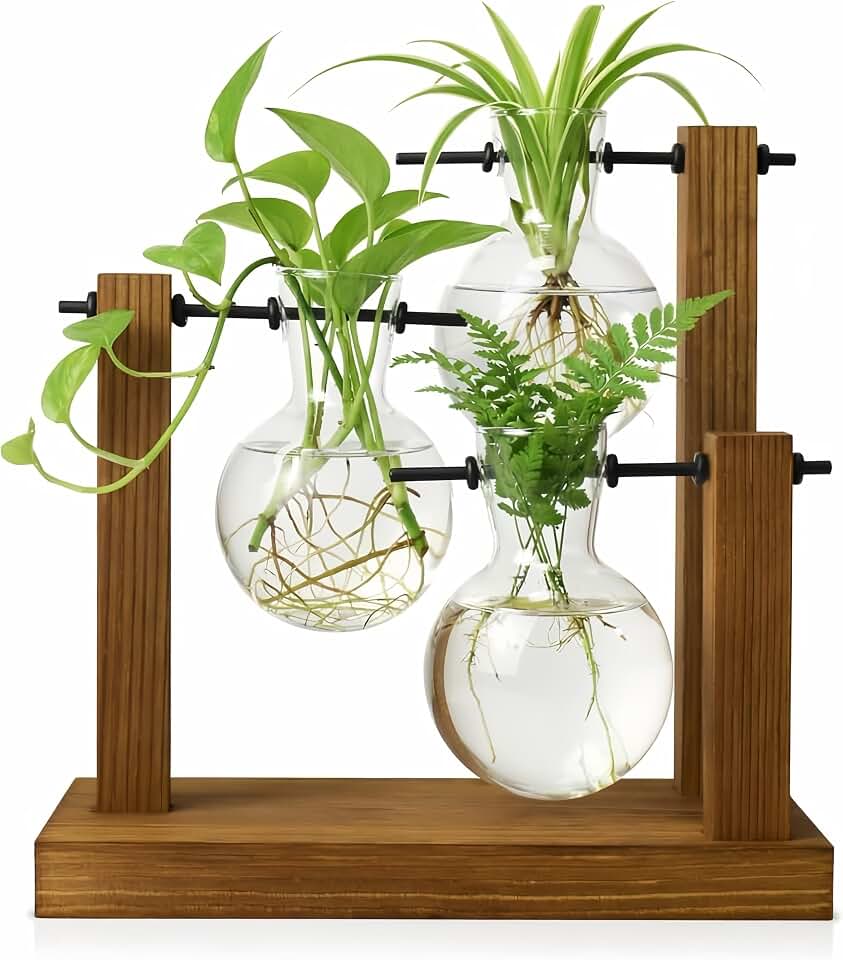 Plant Propagation Station, Wooden Stand with 3 Glass Vases | Thick Wooden Base, High Borosilicate Glass, Water Change Dropper, Hydroponic Plant Decor, Easy Assembly
