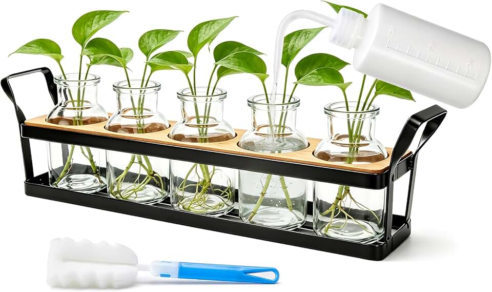 Salzesfalls Propagation Stations with Metal Stand, Tabletop Plant Terrarium | Plant Propagation Station &amp; Vases,Table Top Plant Stand, 5 Glass Jars for Hydroponic Plant Propagation, Plant Lover Gifts