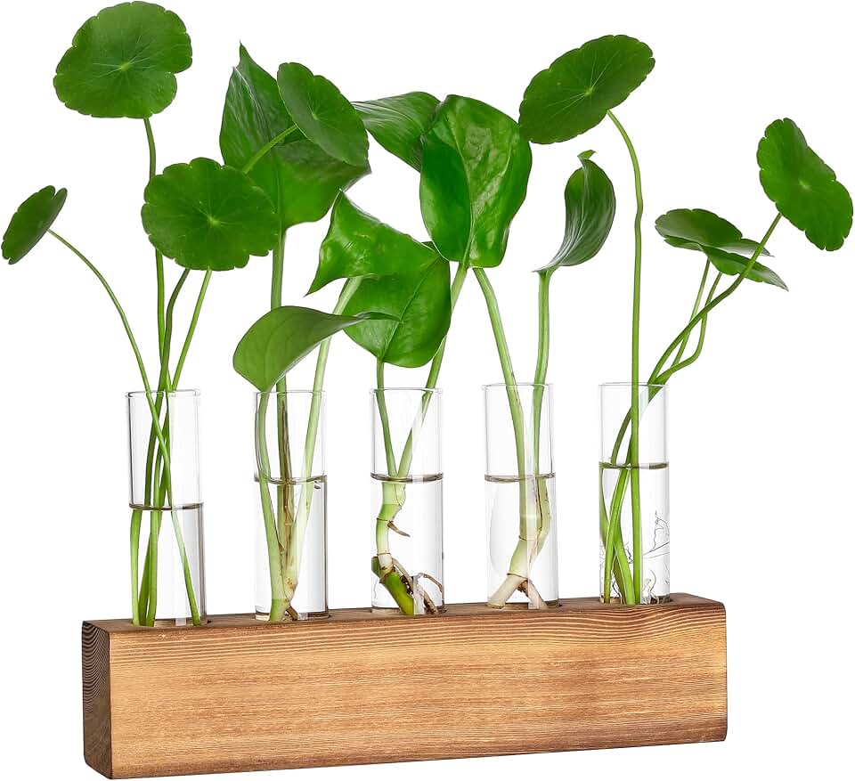 YIBOT Plant Propagation Station, Plant Terrarium with Wooden Stand | Plants Pots for Hydroponics, 5 Glass Test Tubes Vases, Unique Birthday Gardening Gifts for Women Mom Plants Lovers