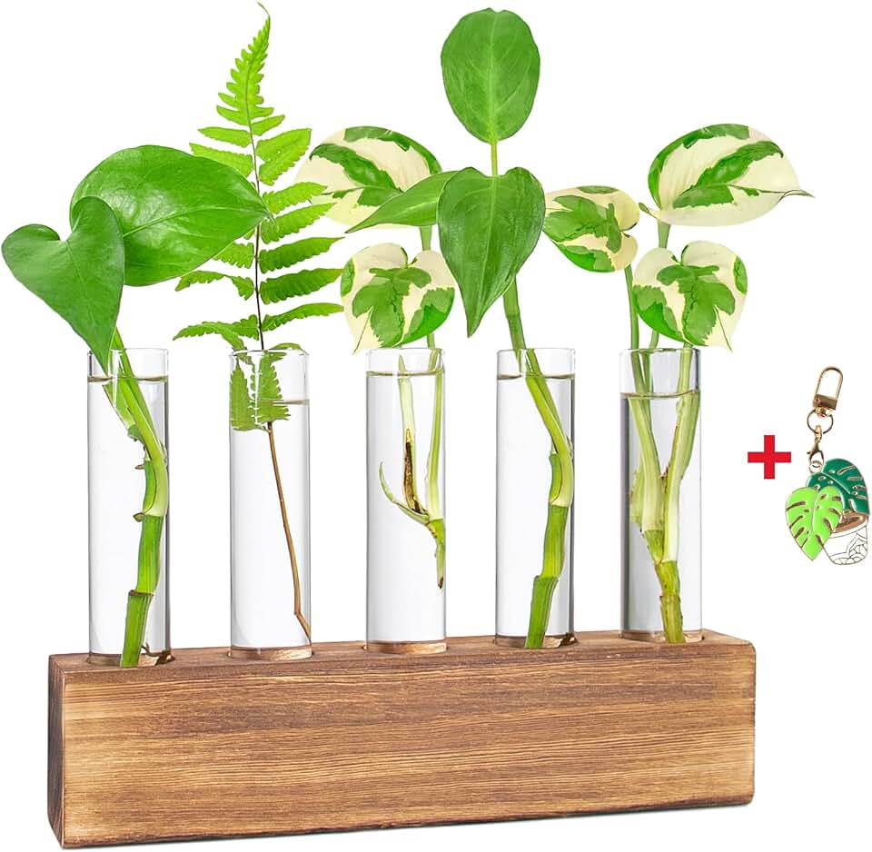 Plant Propagation Station, Plants Propagation Tubes | Gifts for Plant Lovers, Plants Cutting Holder Test Tube Vase Office Desk Garden Décor Gift for Her Mom Women Hydroponic Vase