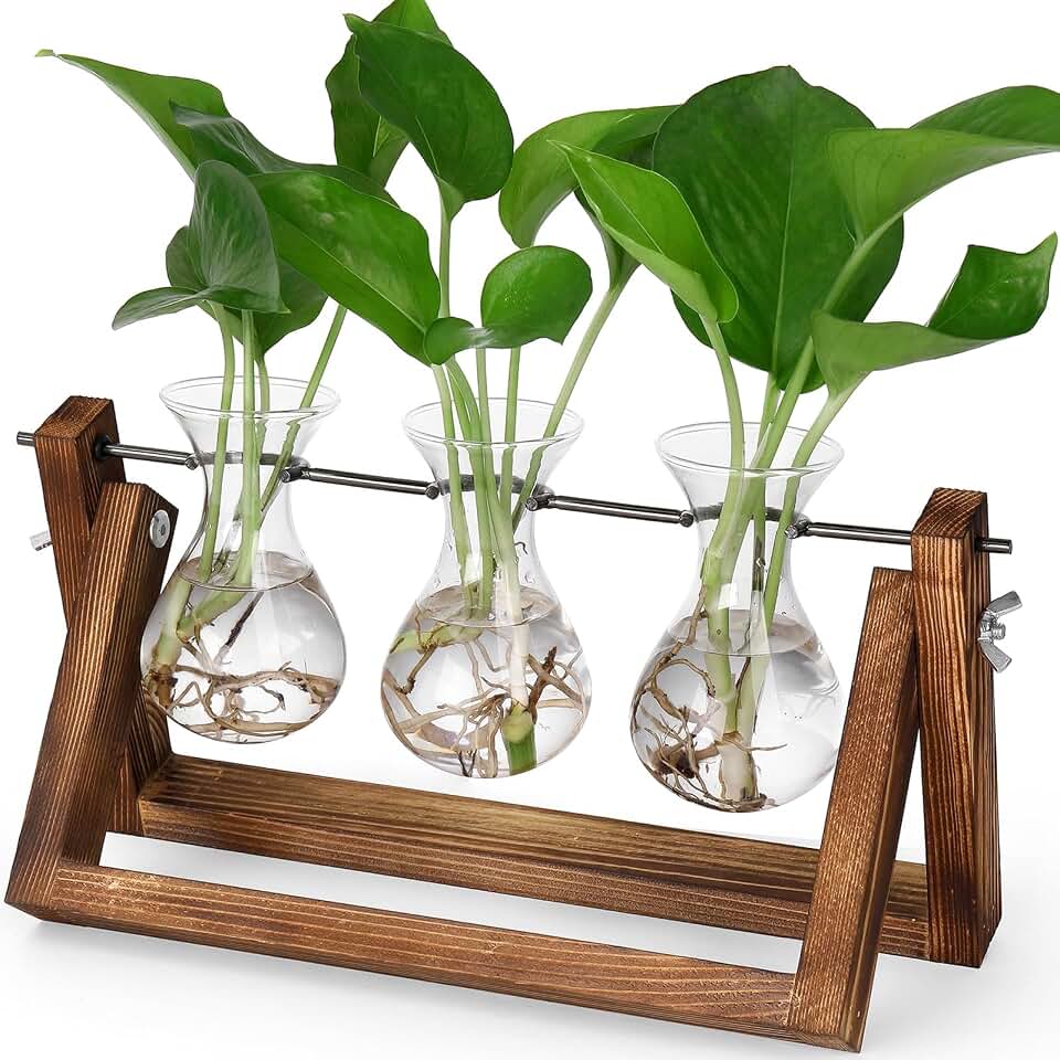 YIBOT Propagation Stations,Plant Terrarium with Wooden Stand-3 Glass Vases | Unique Gardening Birthday Gifts for Women Mom Plant Lovers, Indoor Hydroponics Plants Home Office Garden Desk Decor