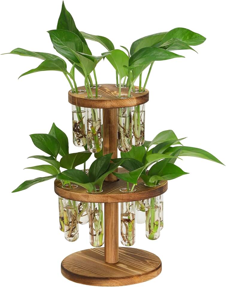 Plant Propagation Station, 15 Propagation Tubes with Wooden Stand | Retro Rotation Propagation Vases for Home Garden Office Decor, Unique Gardening Birthday Gifts for Plant Lover Gifts
