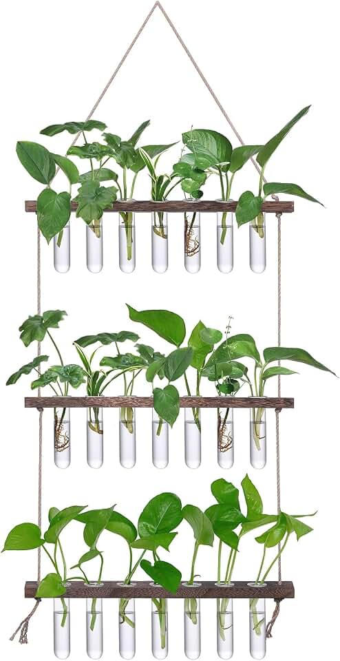 XXXFLOWER Wall Hanging Propagation Station with Wooden Stand | 21 Glass Test Tubes 3 Tiers Planters Wall Terrarium for Home Office Plant Hanger Flower Vases Bathroom Wall Decor Global Recycled Standard