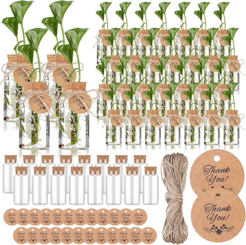 Baderke 48 Pcs 3.54'' Plastic Plant Propagation Stations with Hole Lid 4oz Planter Vase Clear Propagation Jars with Thank You Tags for Plant Lover Gifts for Women Office Home Garden