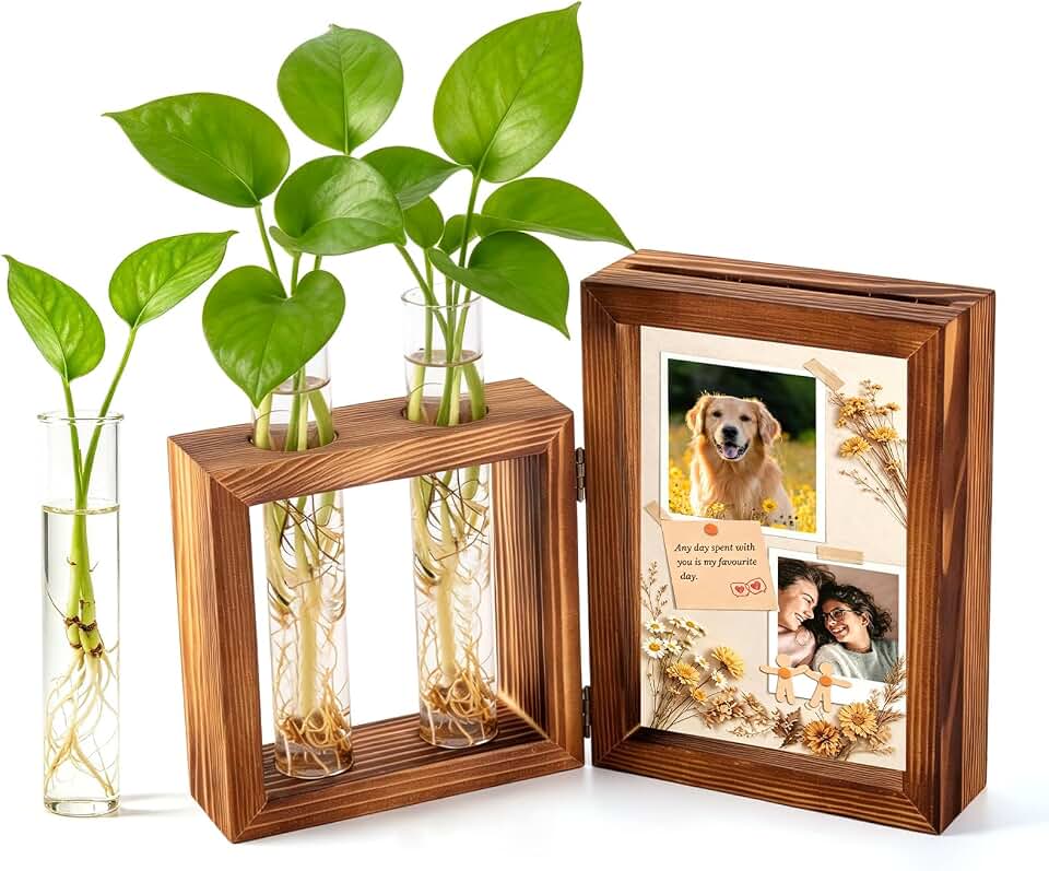 Plant Propagation Station with Wooden Picture Frame, Desktop Home Decor | DIY Display Frame, 2 Glass Tube Plant Terrarium Kit with Extra Tube, Plant Cutting Holder,Gardening Gift for Plant Lovers