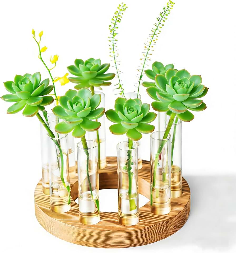 Melphoe Glass Bud Vases Small Flower Vase for Centerpieces Wedding Table Decorations, Home Decor, Propagation Station Plant Terrarium with Wooden Stand, Unique Plant Lover Gifts for Women (Brown)