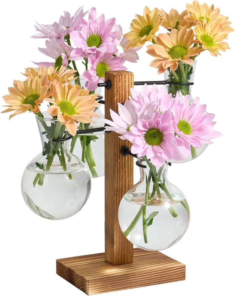 Plant Propagation Stations with Wood Stand, 4 Vases Bulb Shape | Glass Propagation Vases For Hydroponic, Plant Terrarium For Home Office Garden Decor, Gardening Gifts For Plant Lovers