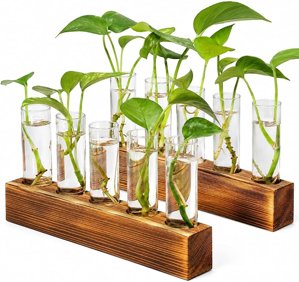 Renmxj Plant Propagation Station, 10 Glass Test Tube with Wooden Stand | Plant Terrarium for Hydroponics Plants Office Decor Unique Gardening Gifts for Women Plants Lovers Global Recycled Standard