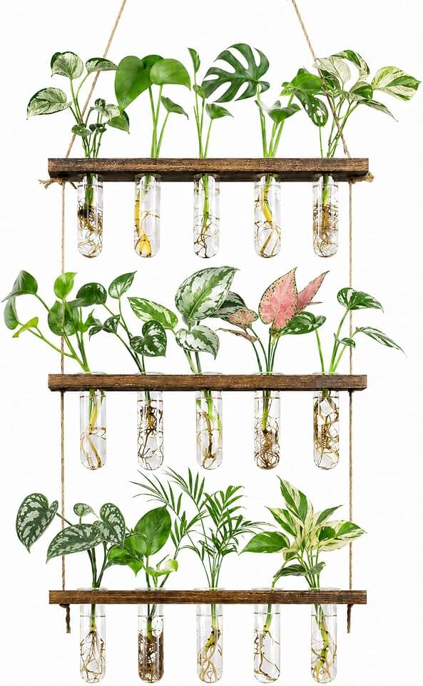 3 Tier Wall Hanging Propagation Stations with 15 Glass Test Tubes, Plant Terrarium Propagation Tubes Planter for Hydroponic Cuttings, Window Decor Gift for Plant Lovers