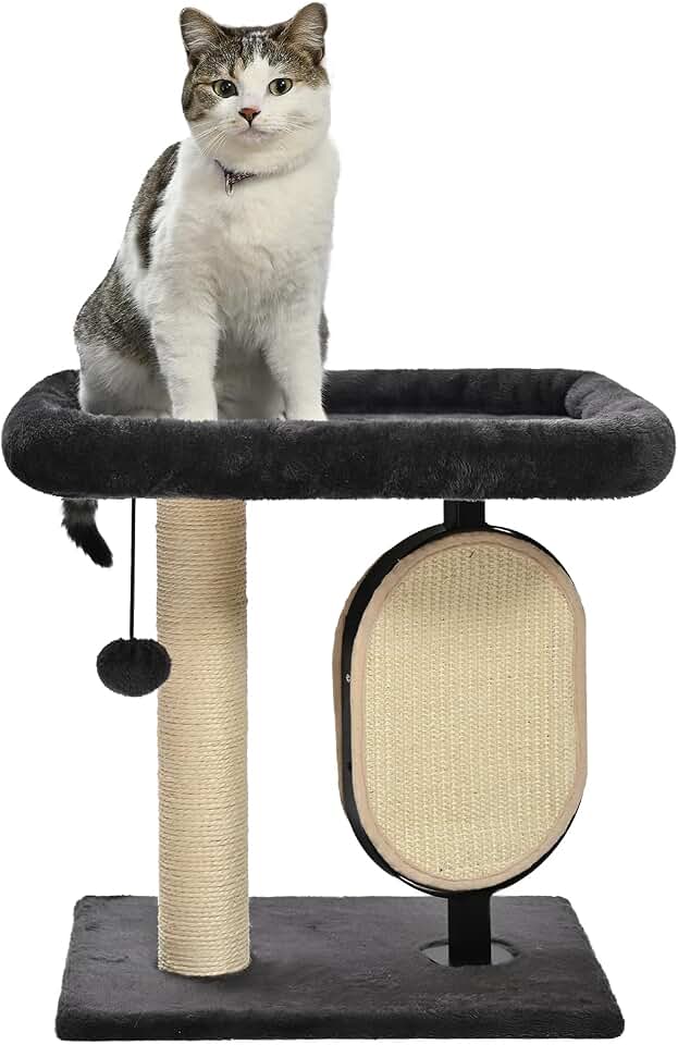 Amazon Basics Single-Platform Cat Tree with Scratching Post and Pad for Indoor Cats, 15.7 x 11.8 x 18.5'', Gray OEKO-TEX STANDARD 100
