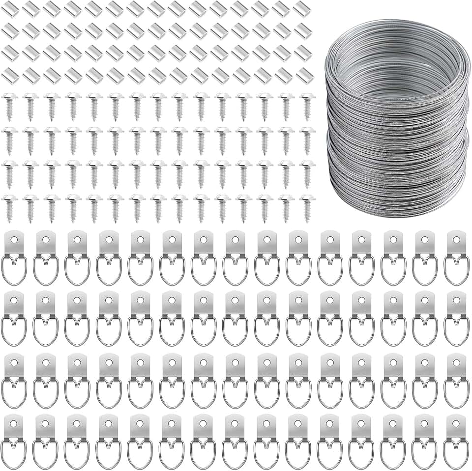 181 Pcs Picture Hanging Kit Wire D Ring Hangers Metal Frame | Braided Wire 100FT, Aluminum Crimping Sleeves, for Frames Mirrors Canvas Artwork Clocks, Rust-Resistant Metal, Home Studio