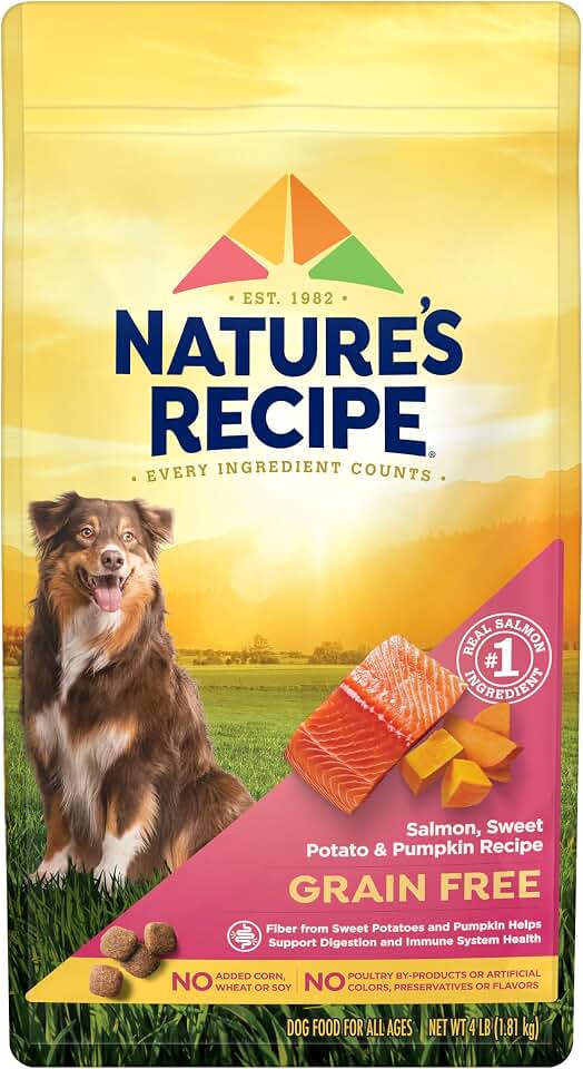 Nature's Recipe Grain Free Easy to Digest Salmon, Sweet Potato and Pumpkin Recipe Dry Dog Food, 4-Pound | Fiber From Sweet Potatoes &amp; Pumpkin Helps Support Digestion and Immune Health
