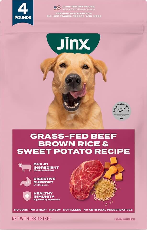 Jinx Dry Dog Food - Grass-Fed Beef, Brown Rice &amp; Sweet Potato, 4lb | Premium Kibble for Digestive Support &amp; Strong Immunity - No Fillers, All Lifestages (Puppy, Adult &amp; Senior), Breeds &amp; Sizes