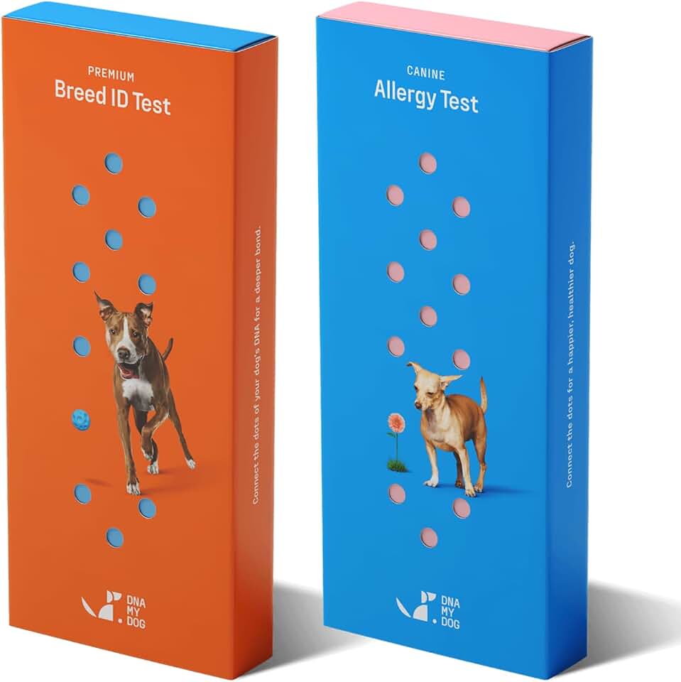 DNA My Dog – Premium Health &amp; Breed Bundle | Breed ID Test (350+ Breeds, 99% Accuracy, Health Test, Age &amp; Wolf DNA) &amp; Allergy Test (120+ Allergens) | Noninvasive Cheek Swab, Fast Results &amp; Custom Care