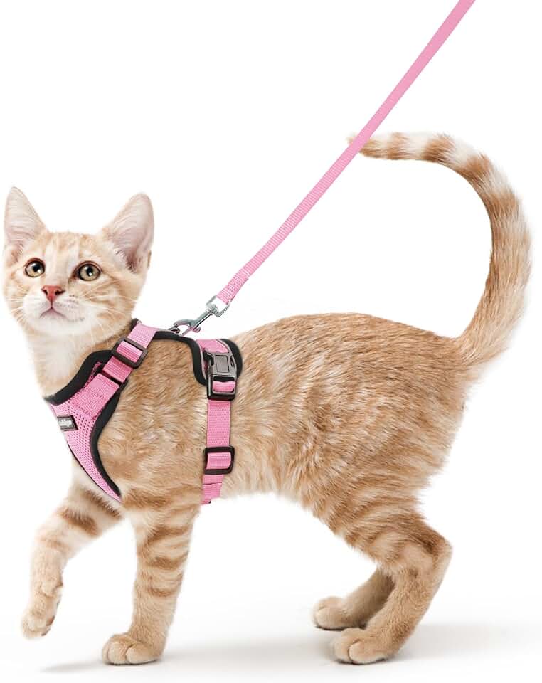 rabbitgoo Cat Harness and Leash Set, Escape Proof Vest, Pink | Soft Breathable Mesh, Easy Adjustable Fit, Snap Buckles, Sturdy Clip, Reflective Strips, for Small &amp; Average Cats Walks, Xs