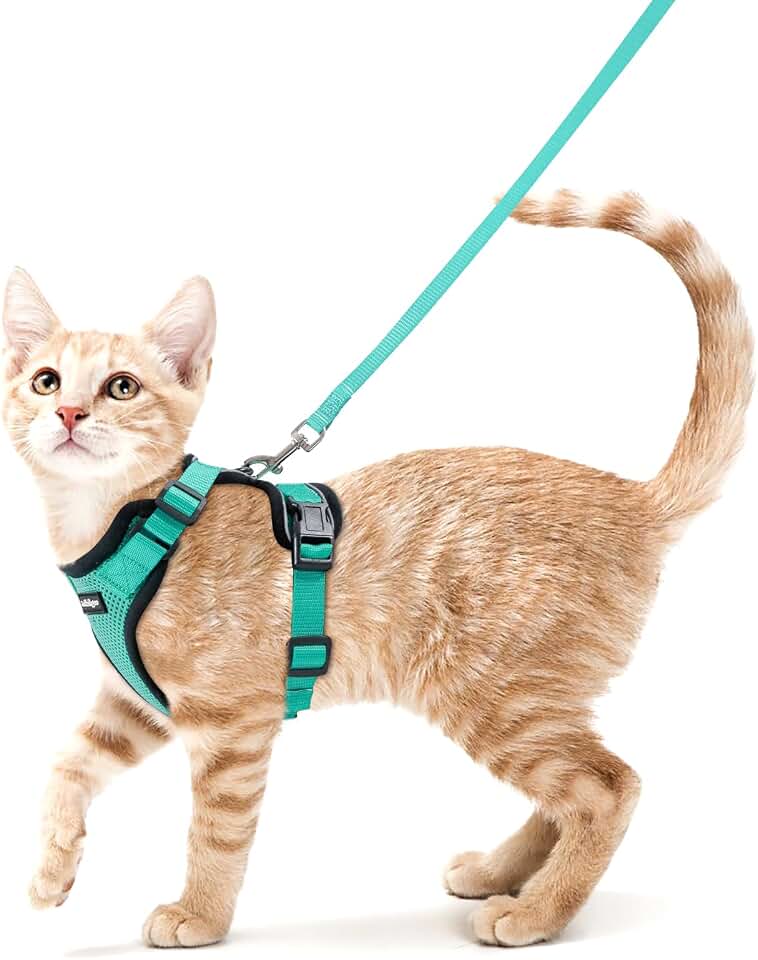 rabbitgoo Cat Harness and Leash Set, Escape Proof Vest, Emerald | Soft Breathable Mesh, Easy Adjustable Fit, Snap Buckles, Sturdy Clip, Reflective Strips, for Small &amp; Average Cats Walks, Xs