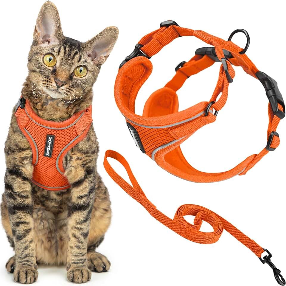 Voyager Escape-Proof Step-in Cat Harness &amp; Leash - Orange, Medium | 16.5 - 19.5" in Chest, 5ft Leash, Adjustable, Reflective, Breathable Air Mesh, Lightweight for Cats, Heavy Duty D-Ring