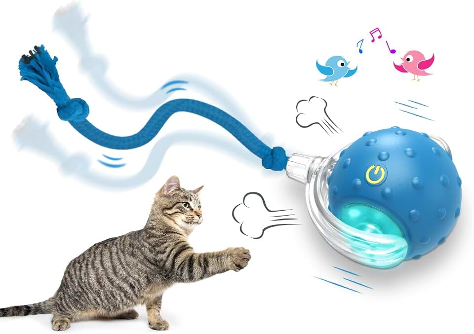 Giociv Interactive Cat Toys Ball for Indoor Cats Fast Rolling on Carpet, Chirping &amp; Motion Activate Cat Toys (Blue)