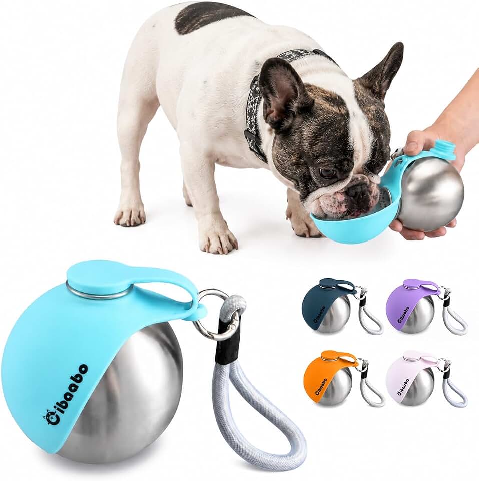 Cibaabo Portable Dog Water Bottle with Collapsible Silicone Bowl 10 oz | Stainless Steel Water Ball | Compact with Clip &amp; Rope | Travel Pet Dispenser | for Small Dog &amp; Puppy | Walking Hiking Beach