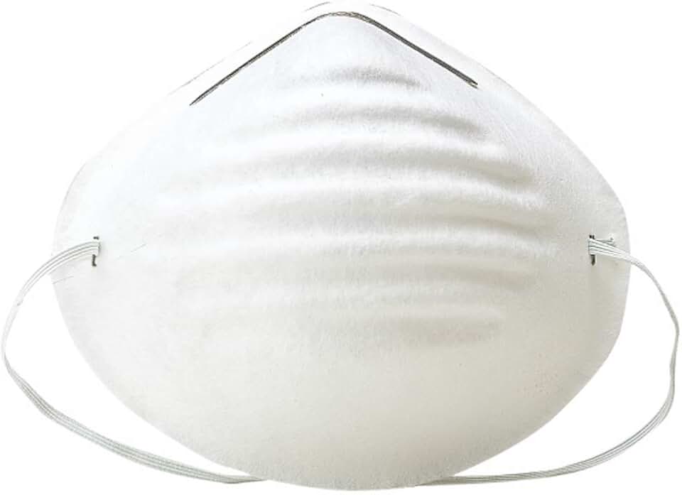 Nuisance Disposable Dust Mask, Box of 50 (B627)
