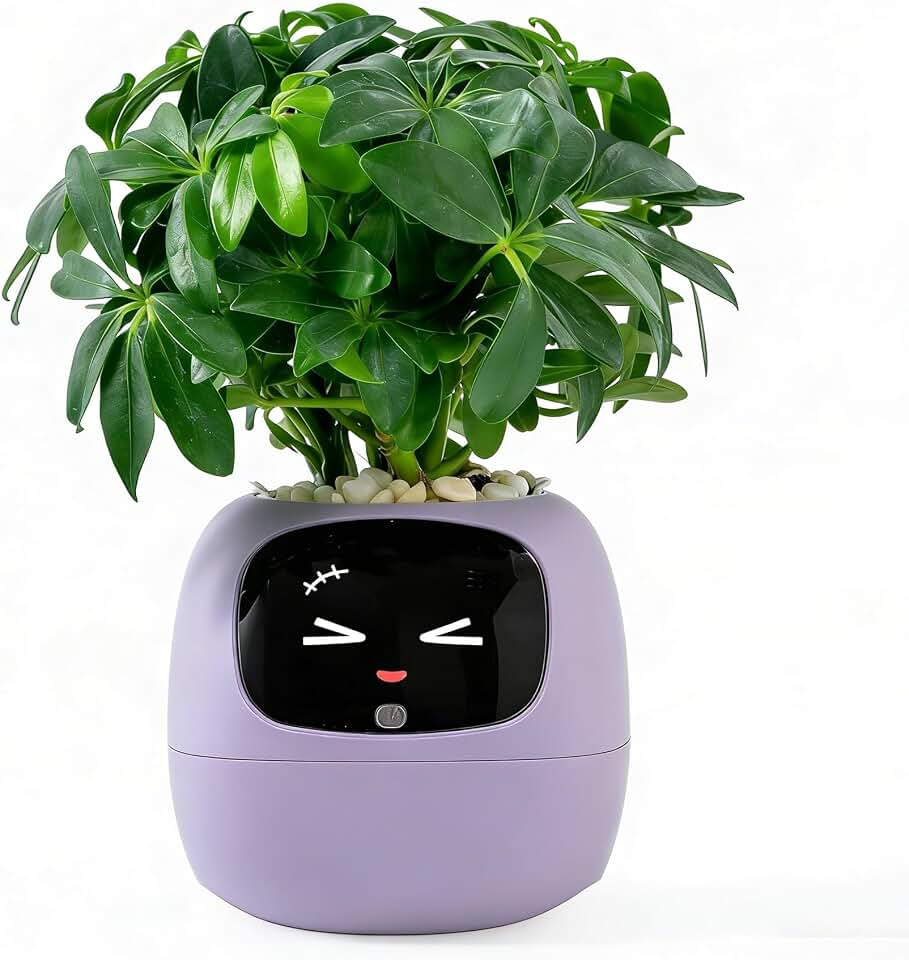 Intelligent Flower Pot, Electronic Bud, Maintenance Plant Assistant, Fun Interactive Flower Pot, Indoor Green Planting Monitoring, LCD Screen Display, Cell Phone APP Connection (Purple)