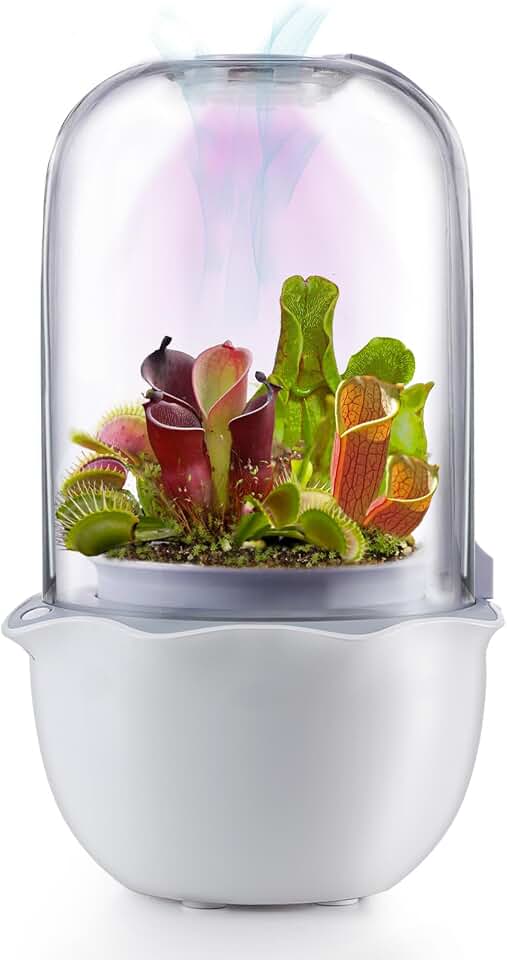 Venus Fly Trap Pot Terrarium with Timer Grow Light&amp;Fan,Plant Terrarium kit | Plant Terrarium Kit with Grow Light for Carnivorous,Butterwort,Venus Flytrap,Christmas Gardening Gift for Women Garden Lover