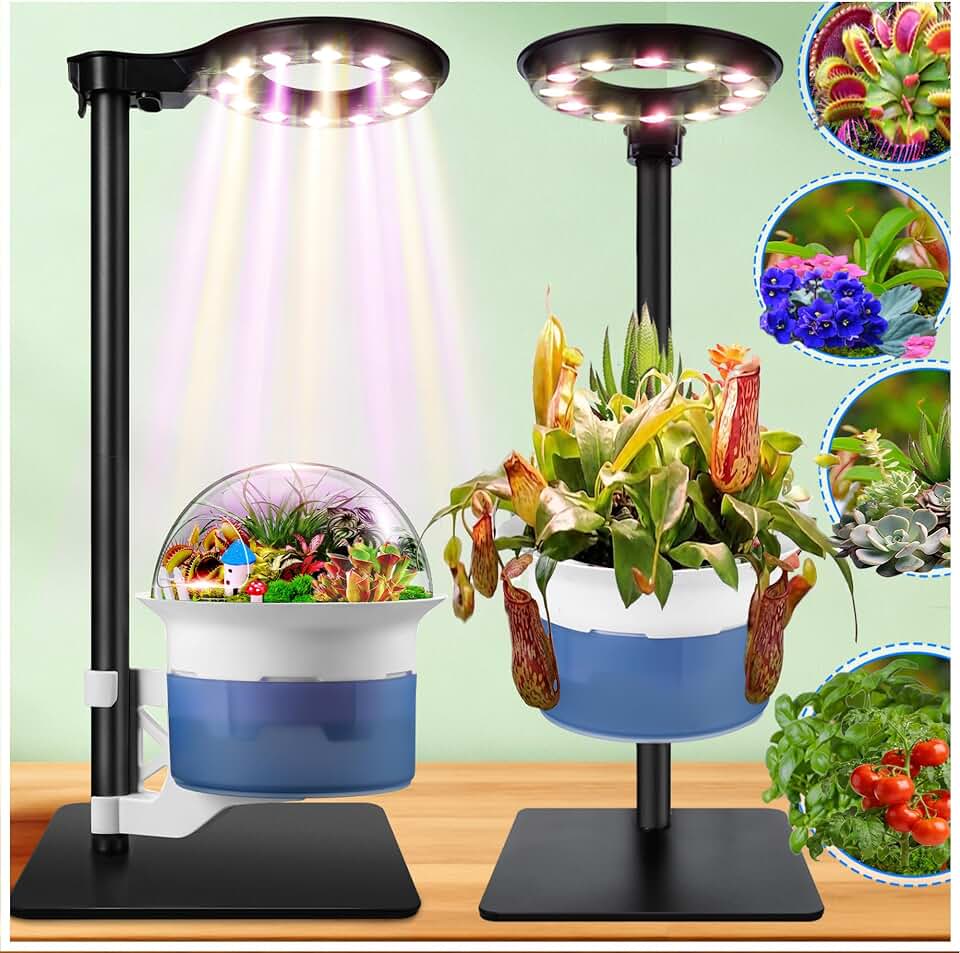 Large Venus Fly Trap Terrarium Pot with Plant Grow Light,Timer&amp;Metal Stand | Self Watering Planter Pot for Venus Fly Trap,Carnivorous Plants, African Violet,Herbs,Christmas Gift for Garden Lover,Mom