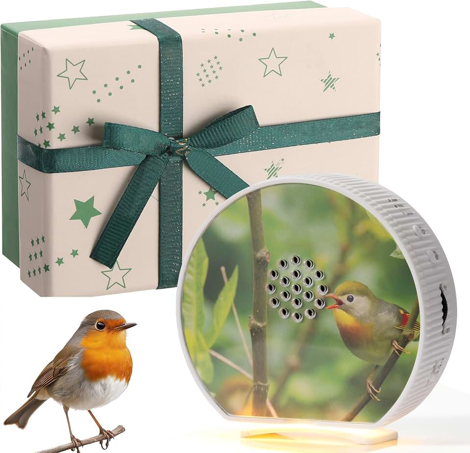 Hollowfly Singing Bird Box White Noise Sound Machine LED Light Radar Sensor Relaxation Device with 12 Natural Sounds Scenery Card Timer Bird Lover Gift for Sleeping Winter Holiday Staff Teacher Office