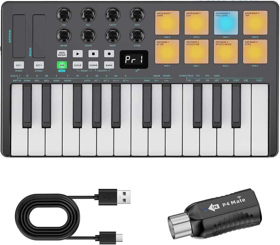 25 Key Midi Keyboard Controller, Portable Bluetooth &amp; USB Midi Keyboard | Backlit Drum Pad, Music Production Software , Chord Mode, Rechargeable BatteryPortable Midi Piano Keyboard, Black