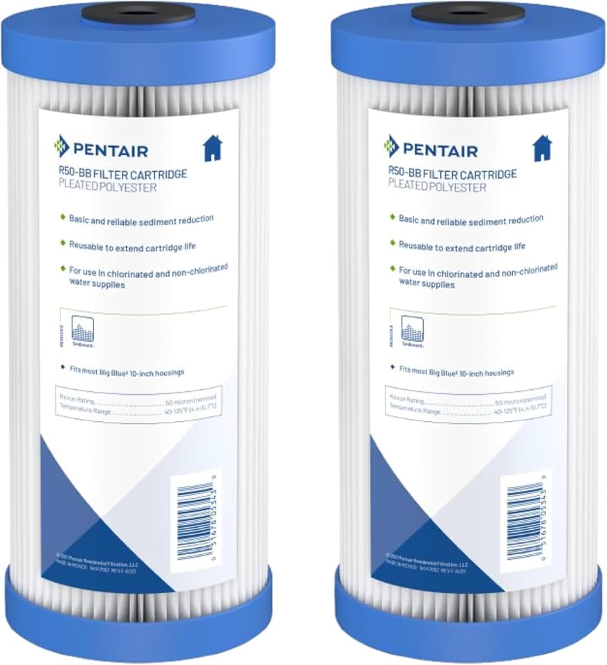 Pentair Pentek R50-BB Big Blue 10" x 4.5" Sediment Water Filter, Pack of 2 | Reusable Pleated Polyester, 50 Micron, Reduces Dirt, Sand, Silt, and Rust, 16 Square Feet of Media