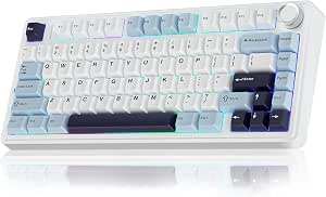 AULA F75 75% Wireless Mechanical Keyboard, Hot Swappable Creamy Keyboard, Pre-lubed Reaper Switches, 2.4GHz/Type-C/BT5.0, RGB Backlit Gaming Keyboards (White & Blue)