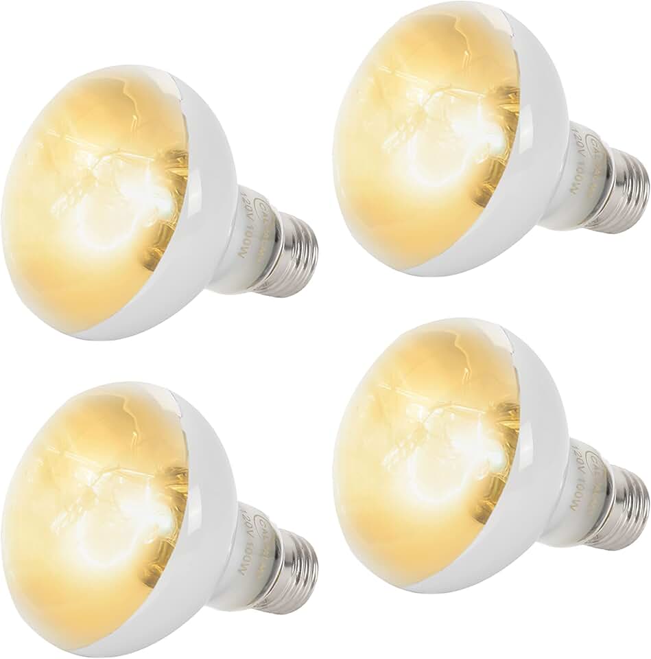 CALPALMY (4-Pack 100W Reptile Heat Lamp Bulbs - UVA Daylight Basking Light Bulbs for Reptiles, Turtles, Lizard, Bearded Dragon and Amphibians - 120V R80 Reflector Bulbs with E26 Screw Cap Base