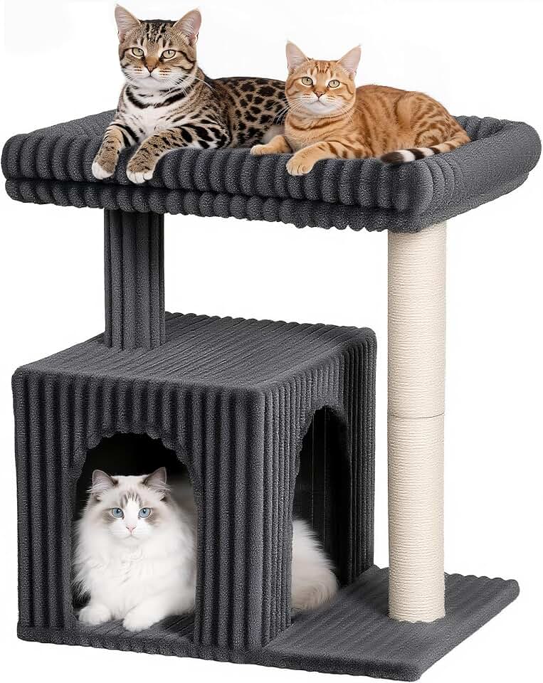 22.8" Cat Tree for Large Cats, 20.9 * 15.7in Large Perch Dark Gray | Cat Tree Tower with Scratching Post, 2-door Cat Condo for Indoor Senior Cats, Removable Washable Perch Bed, Small Cat Tree The Forest Stewardship Council Certified