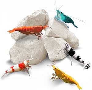 SunGrow Shrimp Rocks, Calcium, Magnesium Rocks for Crayfish, Hermit Crab, Snails, Crustacean Care, Aquarium Decor for Crystal Red, Amano and Ghost Shrimps, Nano Tank Accessories, Fish Tank Supplies
