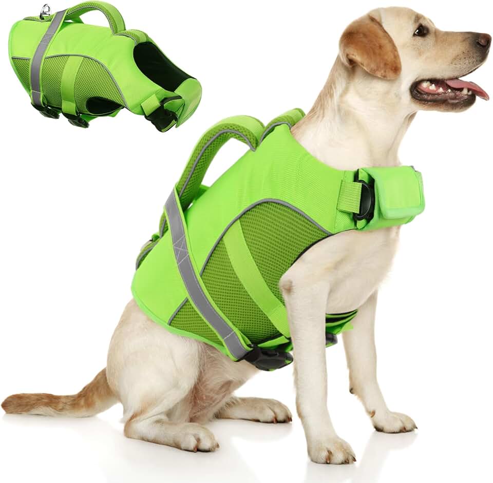 Queenmore Dog Life Jacket, Adjustable Ripstop Dog Life Vest for Swimming Boating, Doggy Lifesaver with Superior Buoyancy and Rescue Handle, Pet Swimming Vest for Large Dogs（Green,L） Global Recycled Standard