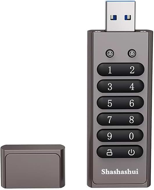 Encrypted USB Drive, Secure Flash Drive 256-bit 32 GB, U Disk USB 3.0, Hardware Password Memory Stick for Personal Protection, Write Speed up to 100MByet/s (32GB)