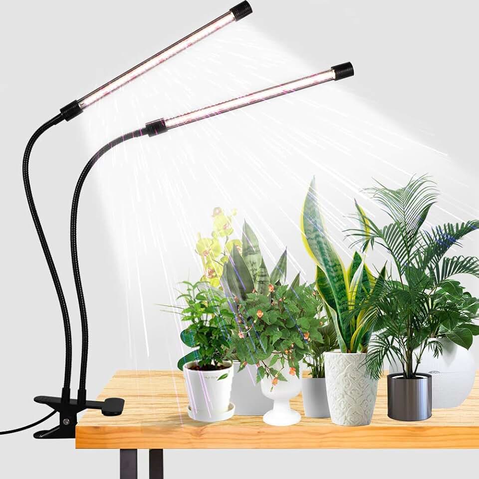 GooingTop Grow Light,6000K Full Spectrum Indoor Plant Growing Lamp | Desk Lamp with White Red LEDs for Indoor Plants,Clamp with Flexible Gooseneck,Brightness Adjustable,Auto Timer 4 8 12Hrs
