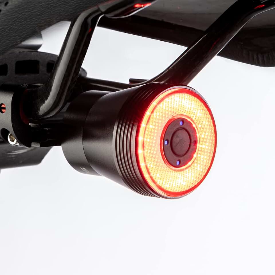 ROCKBROS Bike Tail Light Smart,Brake Bicycle Rear Lights Rechargeable,IPX6 | Ultra Bright,LED Back Lights,Type C USB,Waterproof,Cycling,Safety Taillight, Bike Accessories