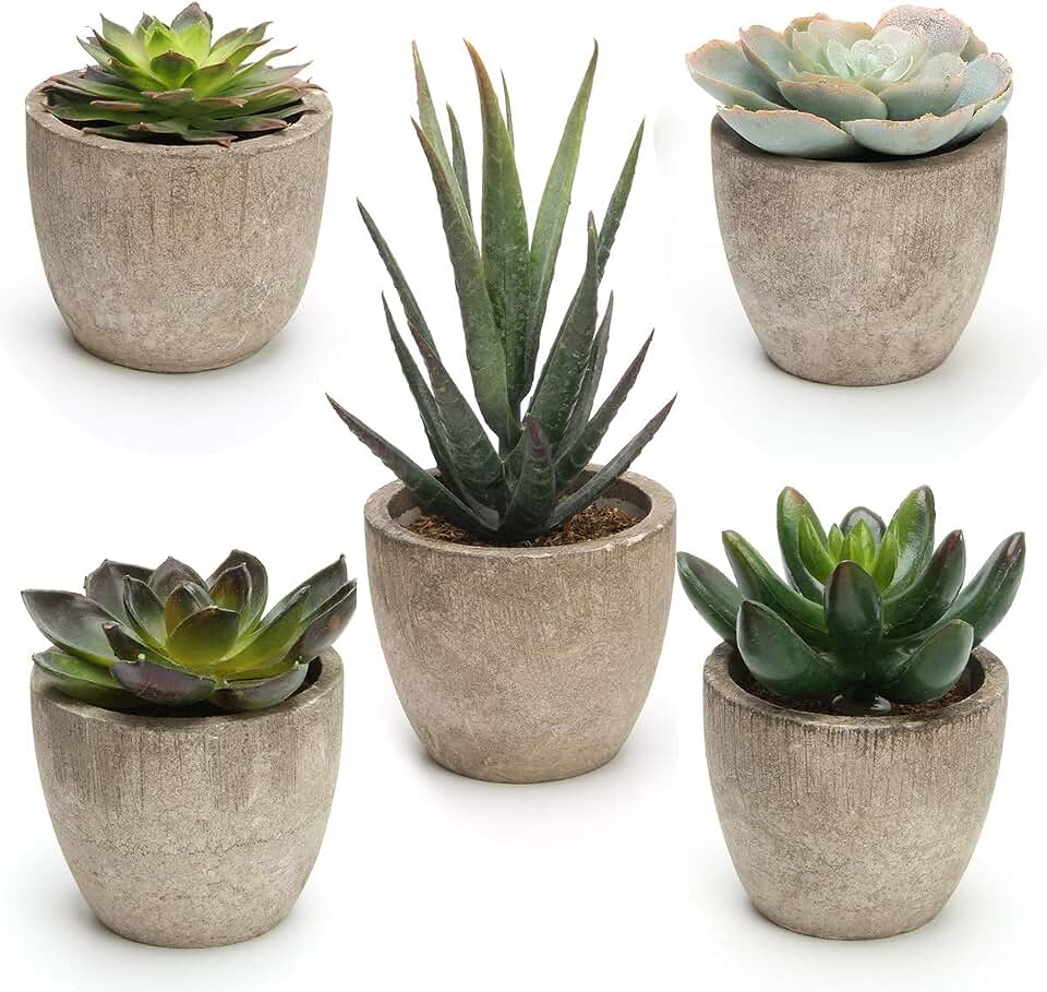 Coitak Artificial Succulent Plants Potted, Artificial Plants Indoor, 5 PCS | Assorted Decorative Faux Succulent Potted, Fake Cactus Cacti Plants with Pots, Green