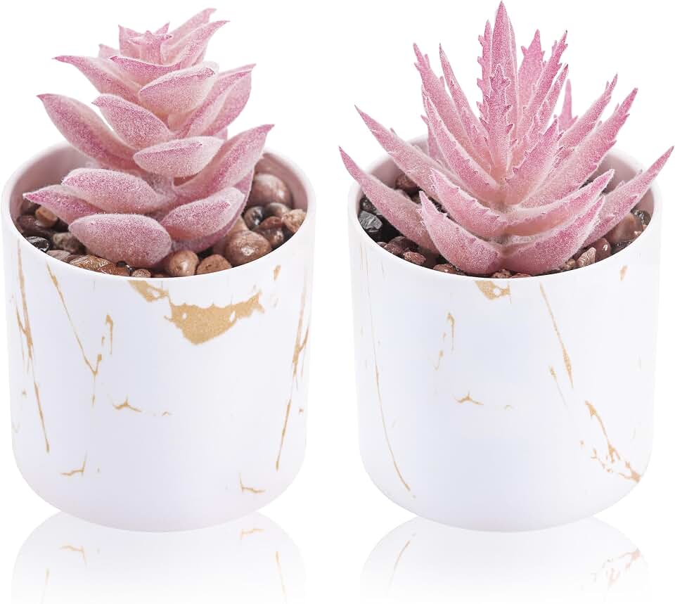 Der Rose 2 Pack Fake Plants Pink Room Decor for Office Desk Accessories | Mini artificial succulents plants，versatile pink decor ror office desks bathroom shelf vanity decor，perfect gifts for women