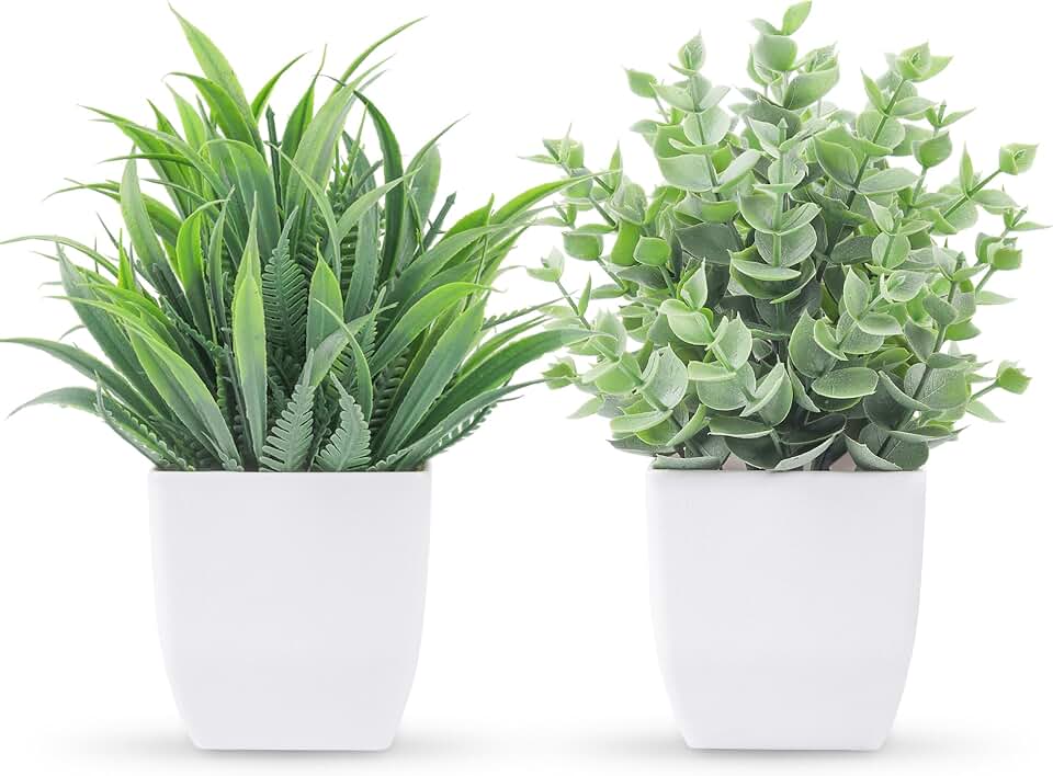 Der Rose 2 Pack Artificial Plants Small Plants for Bathroom Office Decor | Mini cute faux plants, table desk home laundry room entryway decor, bathroom classroom decor, maintenance-free
