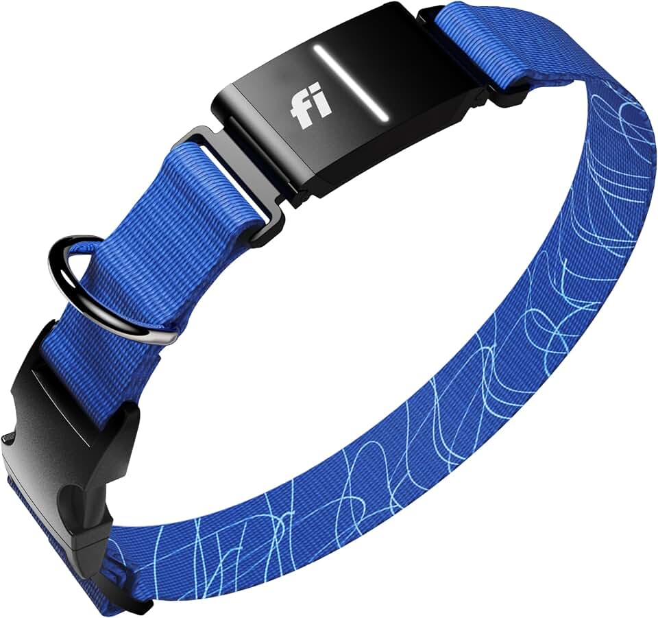 Fi Series 3+ GPS Dog Collar Large Blue, Tracker with 6-Month Plan | Waterproof build, LED safety light, escape alerts, nationwide coverage, iOS and Android app, activity monitoring