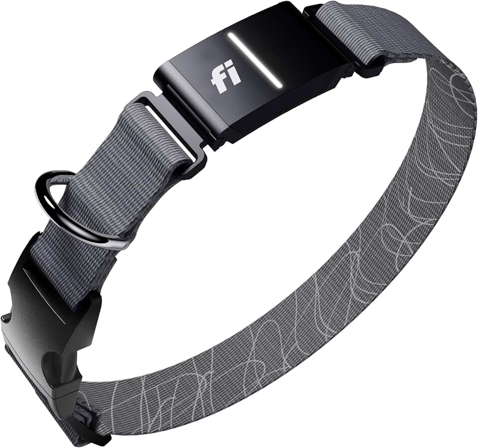 Fi Series 3+ GPS Dog Collar Large Gray, Tracker with 6-Month Plan | Waterproof build, LED safety light, escape alerts, nationwide coverage, iOS and Android app, activity monitoring